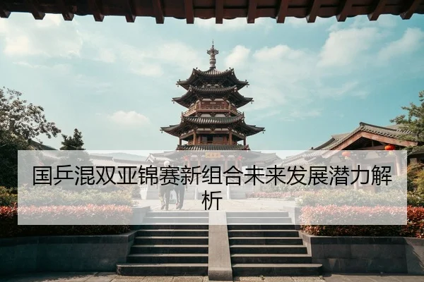 国乒混双亚锦赛新组合未来发展潜力解析